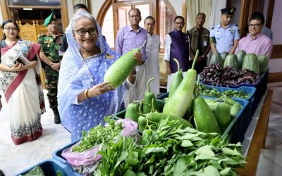 গোপালগঞ্জে উৎপাদিত সবজি এলো গণভবনে, গ্রহণ করলেন প্রধানমন্ত্রী