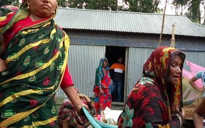 ঘুমের মধ্যে সাপে কামড়, স্কুলছাত্রীর মৃত্যু